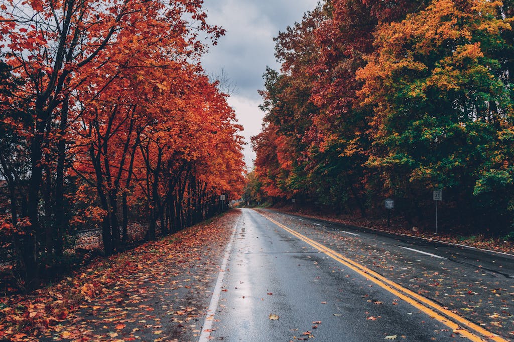 A serene road surrounded by bright autumn foliage in Long Pond, PA.